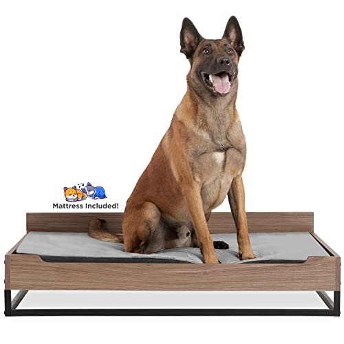 Wooden Dog Bed and Dog Couch with Water-Resistant Mattress. Large to Extra Large Elevated Pet Bed with Calming Mattress. Greenguard Gold Certified. Dog Beds & Furniture. Milo